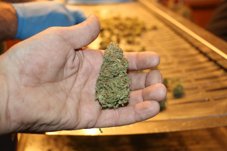 UltraTrimmer is the BEST bud trimmer available.