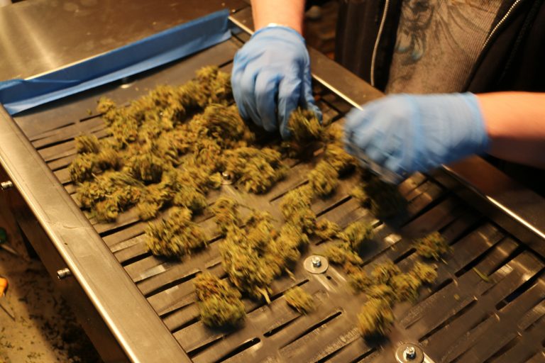 UltraTrimmer is the BEST bud trimmer available.